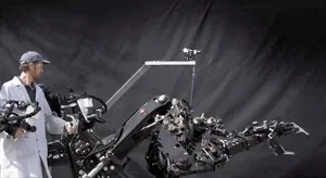 Rare Fashion for the Digital Age